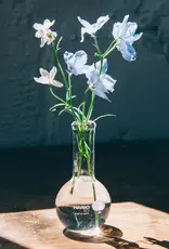 Hario Flat-Bottom Glass Flask Vase with Skinny Neck - 50ml