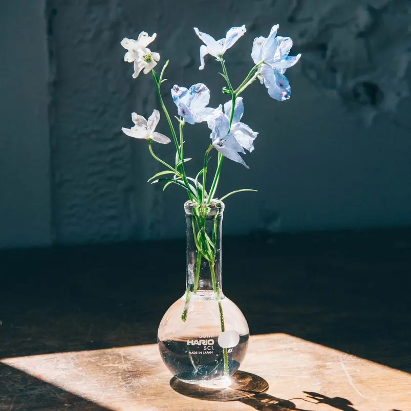 Hario Flat-Bottom Glass Flask Vase with Skinny Neck - 50ml