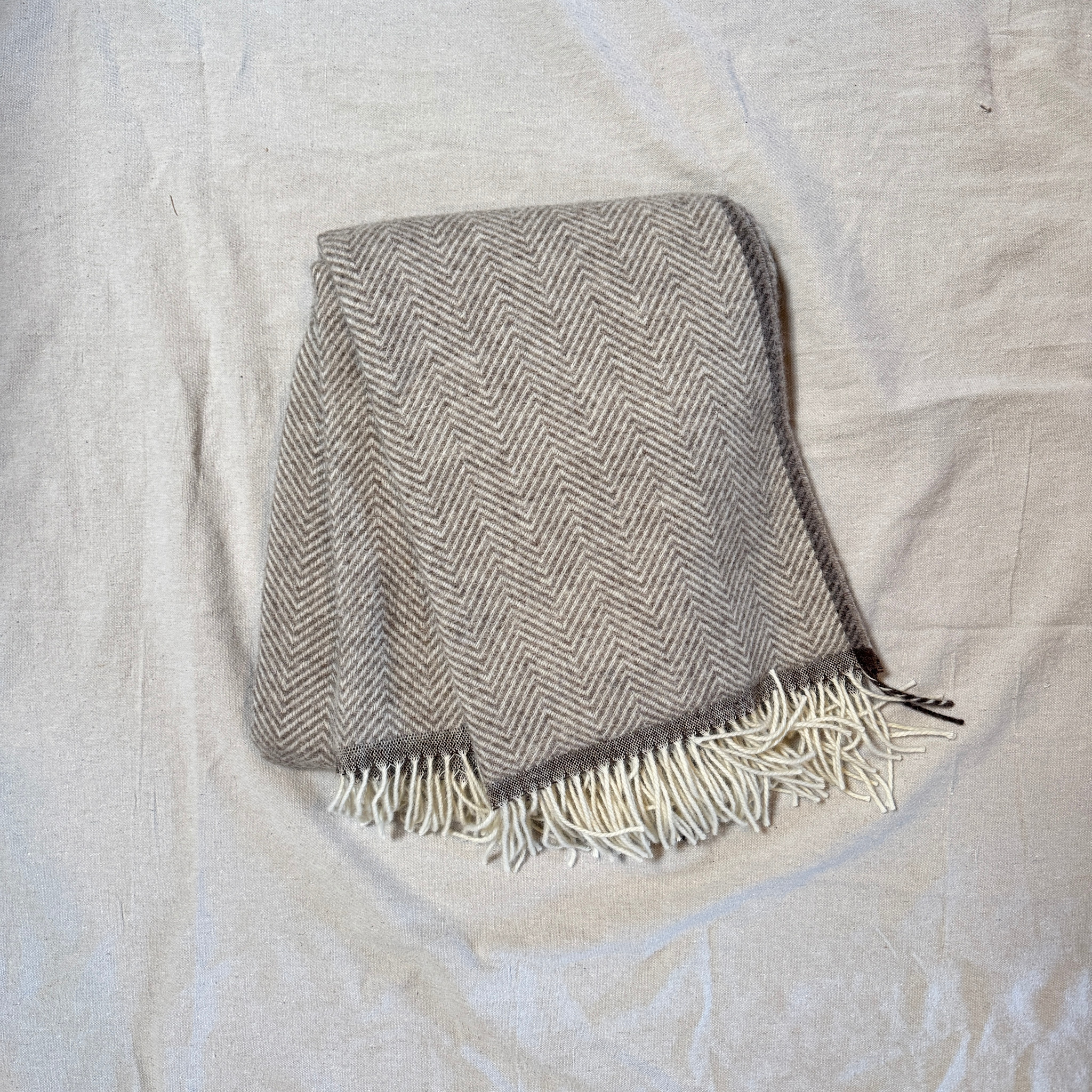 Wool Herringbone Fringe Throw - Cocoa Brown 79" x 55"