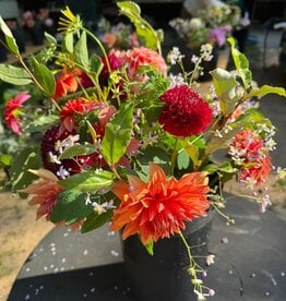 Two Pony Gardens 2026 Dahlia Bucket Subscription (6 weeks)