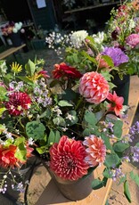 2026 Two Pony Gardens Dahlia Subscription Share