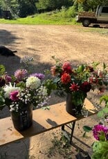 Two Pony Gardens 2026 Dahlia Bucket Subscription (6 weeks)