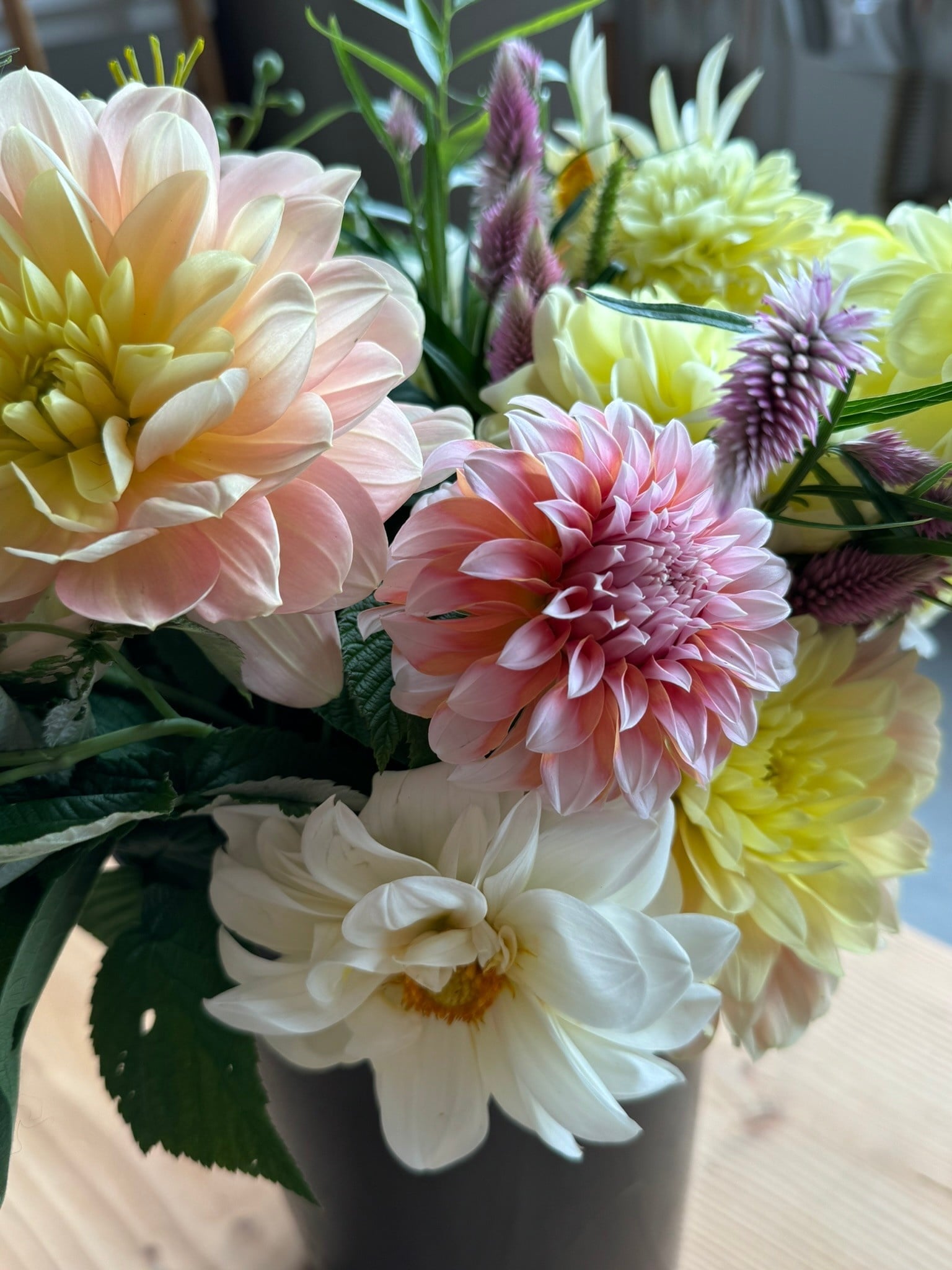 Two Pony Gardens 2026 Dahlia Bucket Subscription (6 weeks)