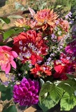 2026 Two Pony Gardens Dahlia Subscription Share