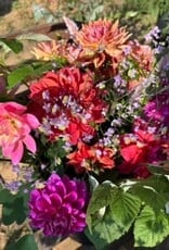 Two Pony Gardens 2026 Dahlia Bucket Subscription (6 weeks)
