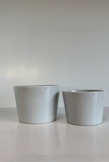 Common Everyday White Porcelain Cup 4oz