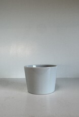 Common Everyday White Porcelain Cup 6.8oz