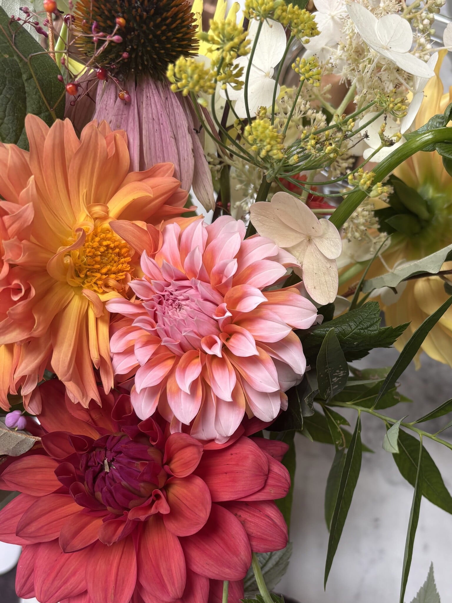 SINGLE TWO PONY DAHLIA BUCKET
