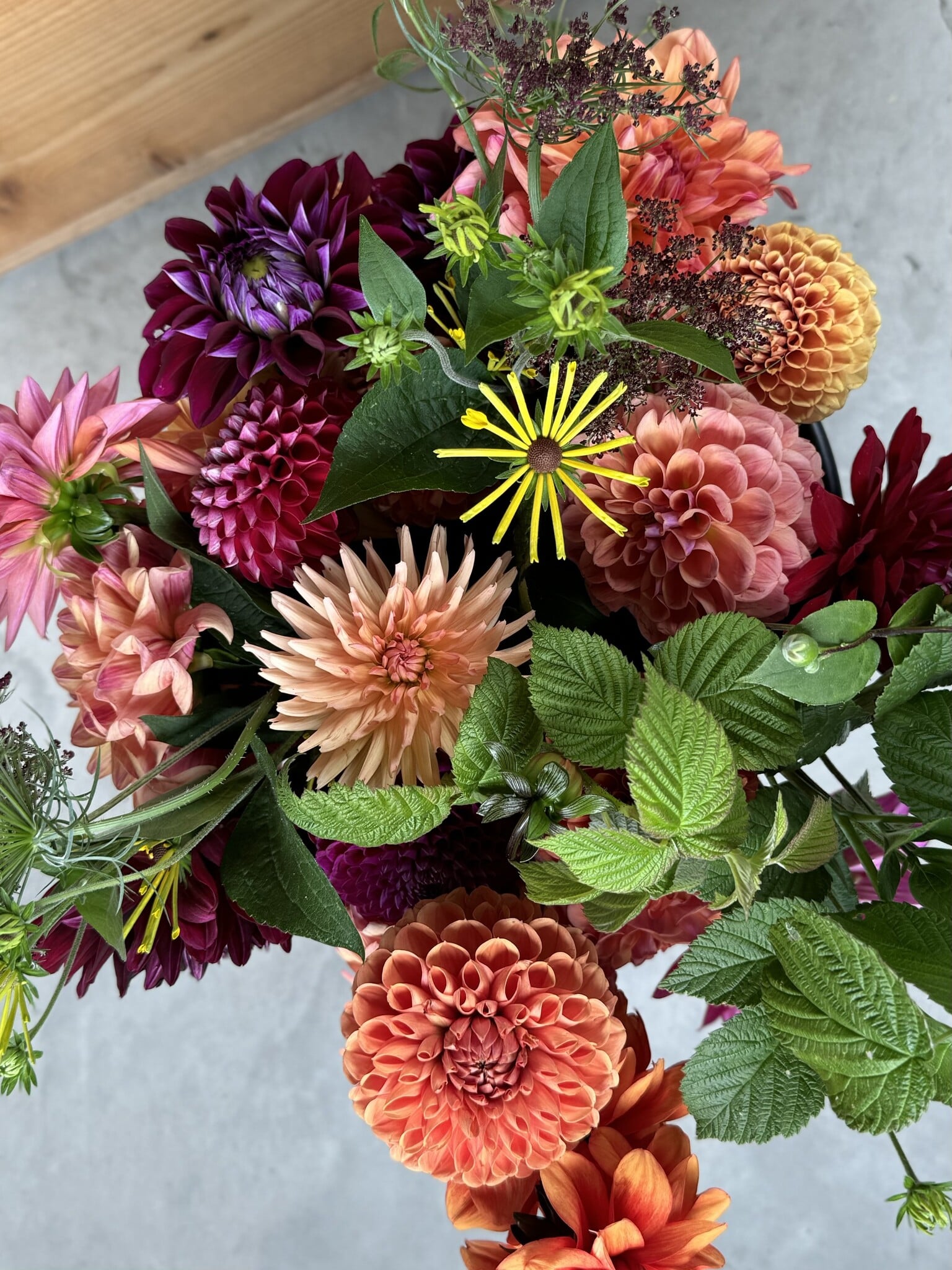 SINGLE TWO PONY DAHLIA BUCKET