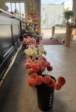 SINGLE TWO PONY DAHLIA BUCKET