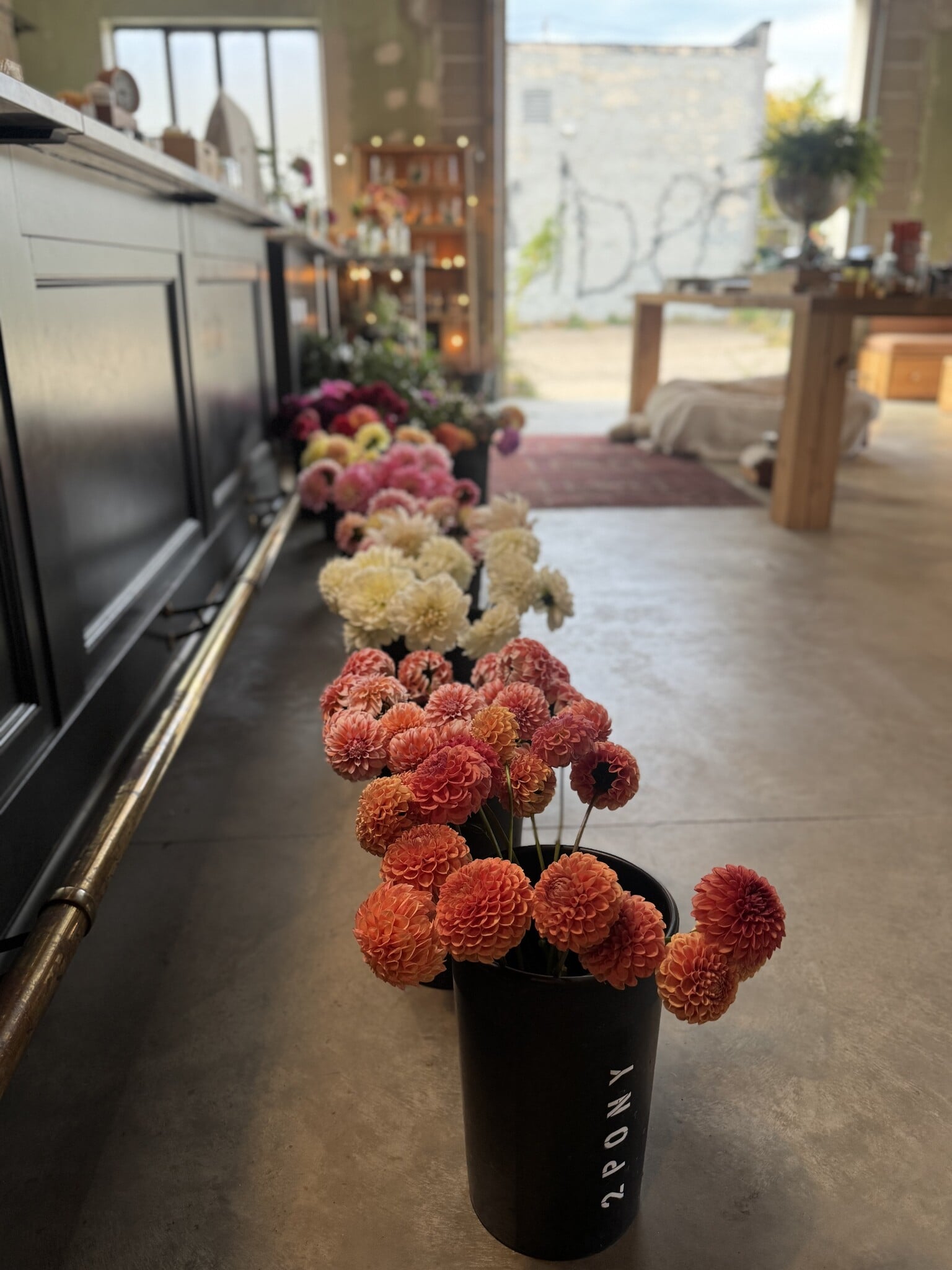 SINGLE TWO PONY DAHLIA BUCKET