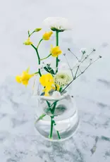 Hario Conical Glass Beaker Pitcher or Vase - 50ml