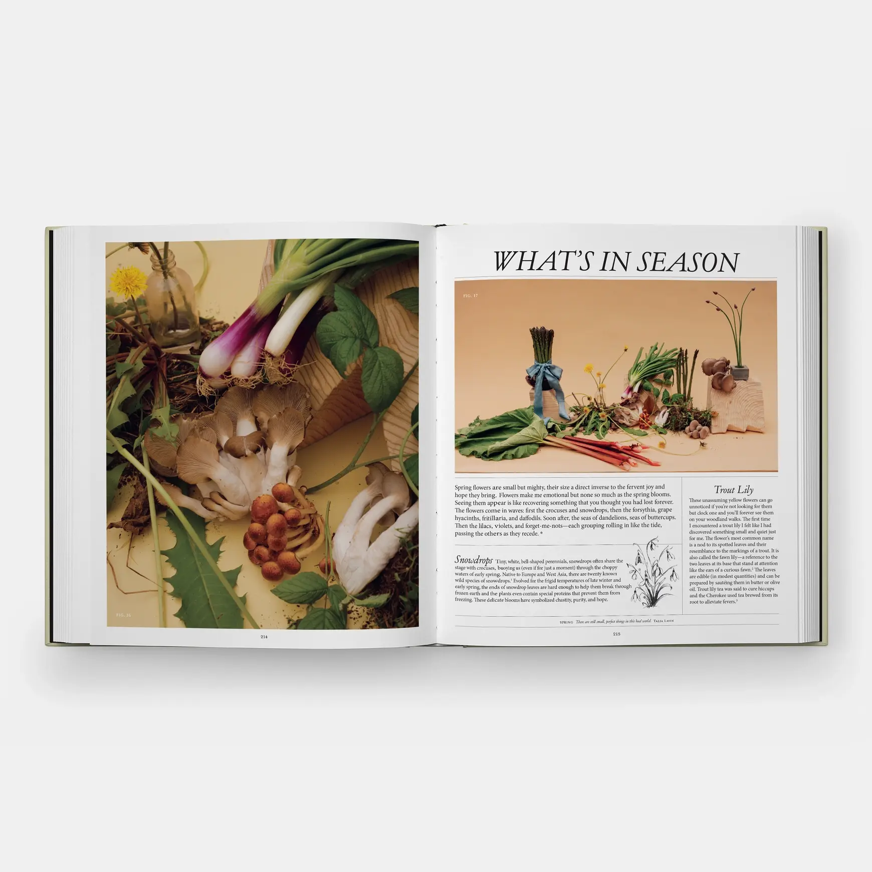 Phaidon Once Around the Sun by Lisa Przystup