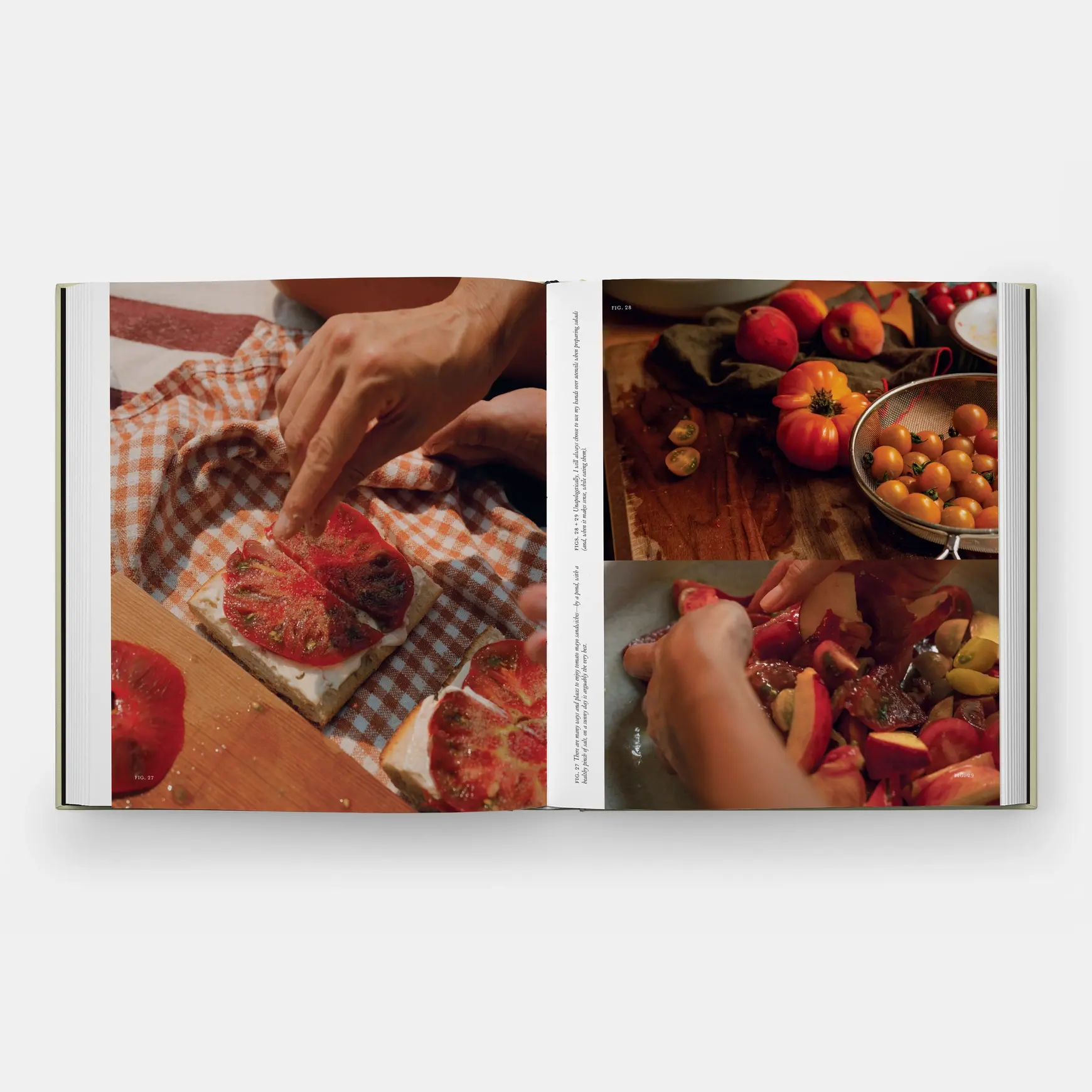 Phaidon Once Around the Sun by Lisa Przystup