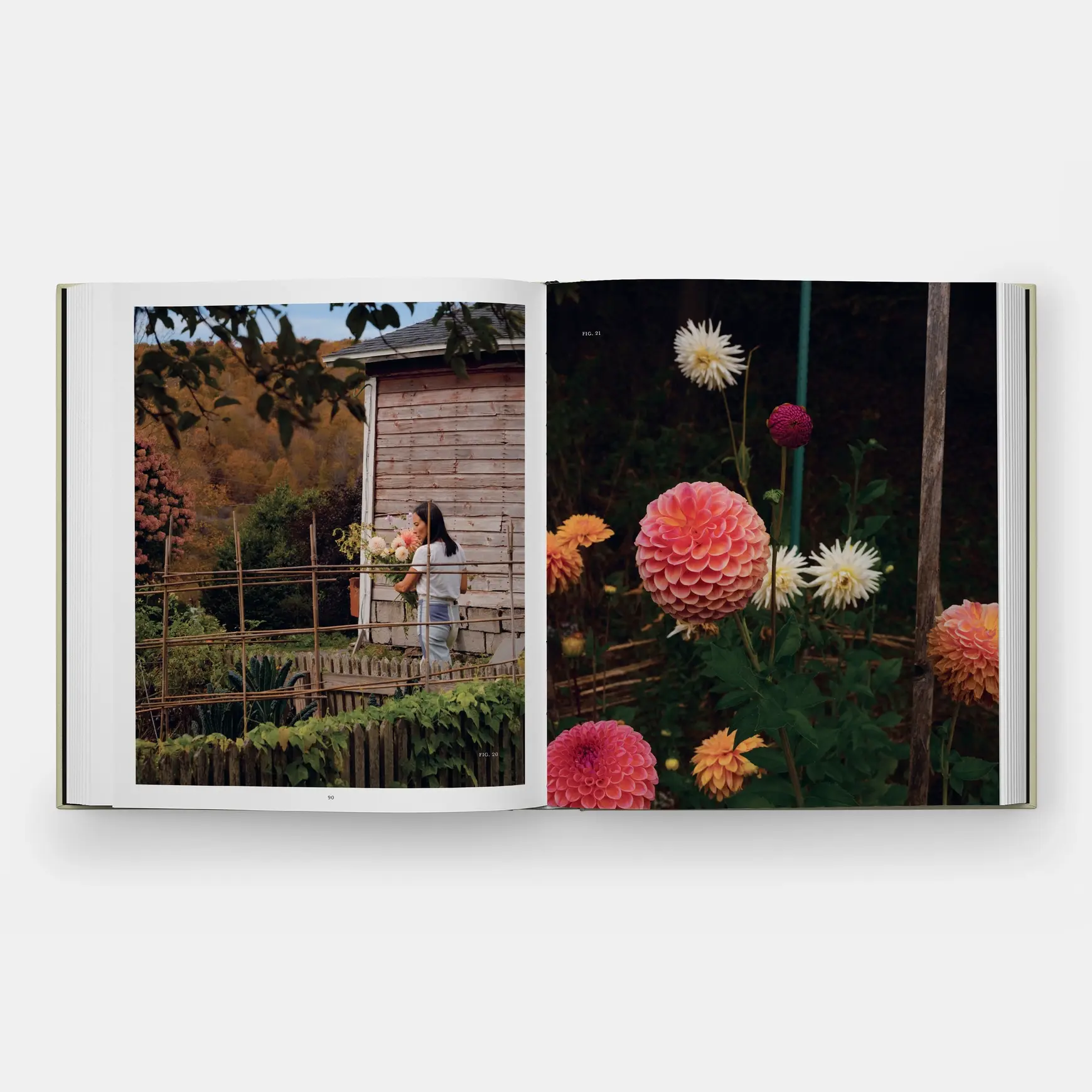 Phaidon Once Around the Sun by Lisa Przystup