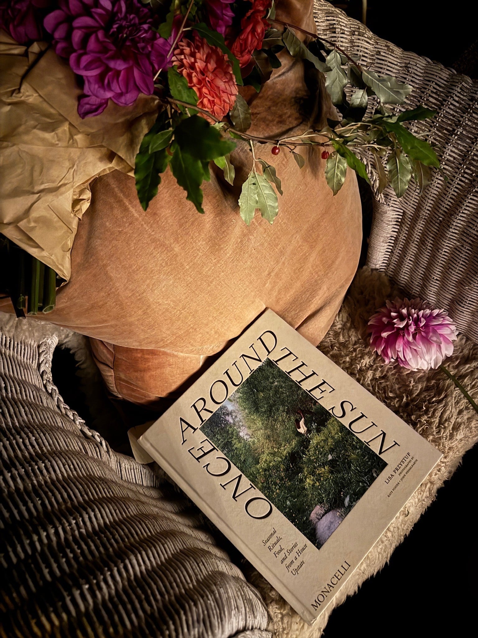 Phaidon Once Around the Sun by Lisa Przystup