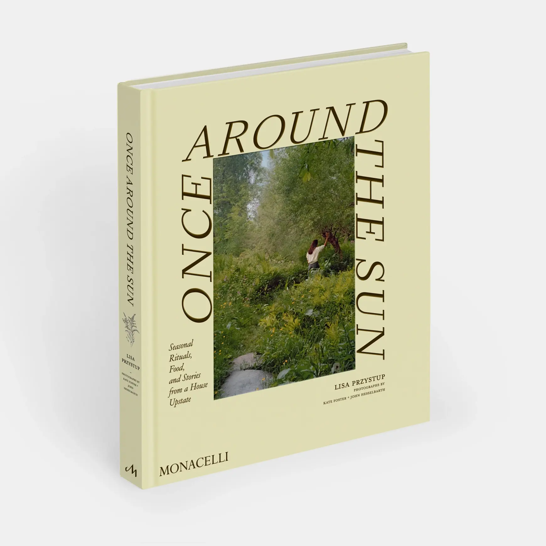 Phaidon Once Around the Sun by Lisa Przystup