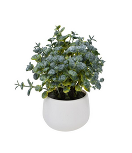 Artifical  baby tears plant -white pot