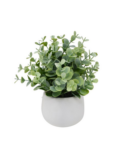 Artifical Eucalyptus- white pot