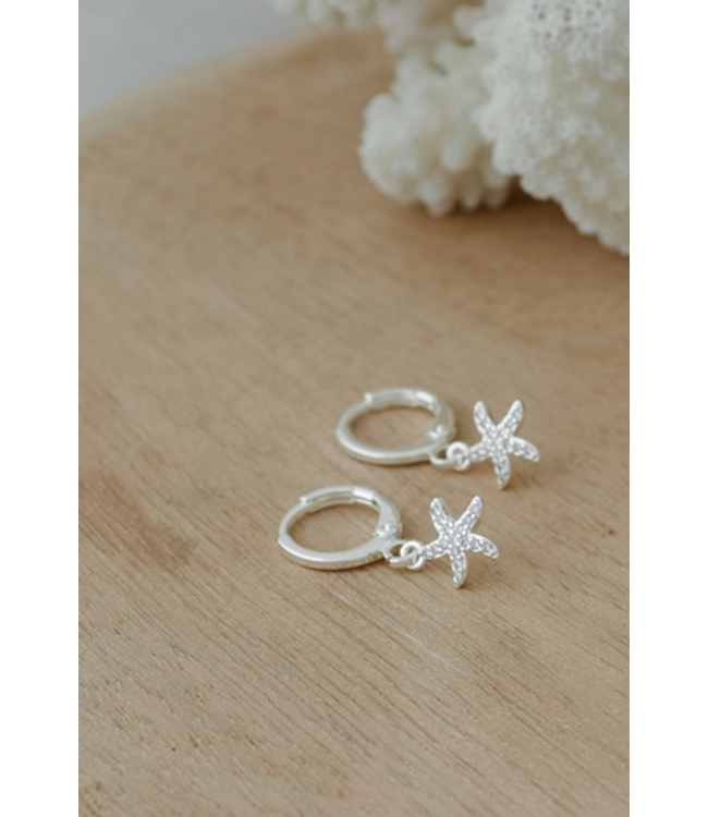 Glee -Regal Sea Star Hoops- Silver