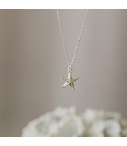 Glee -Starry Charm necklace-Silver