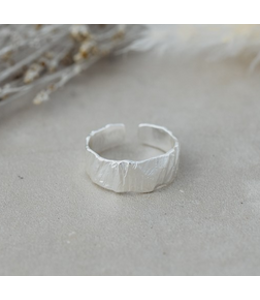 Glee -Reflection Ring-Silver