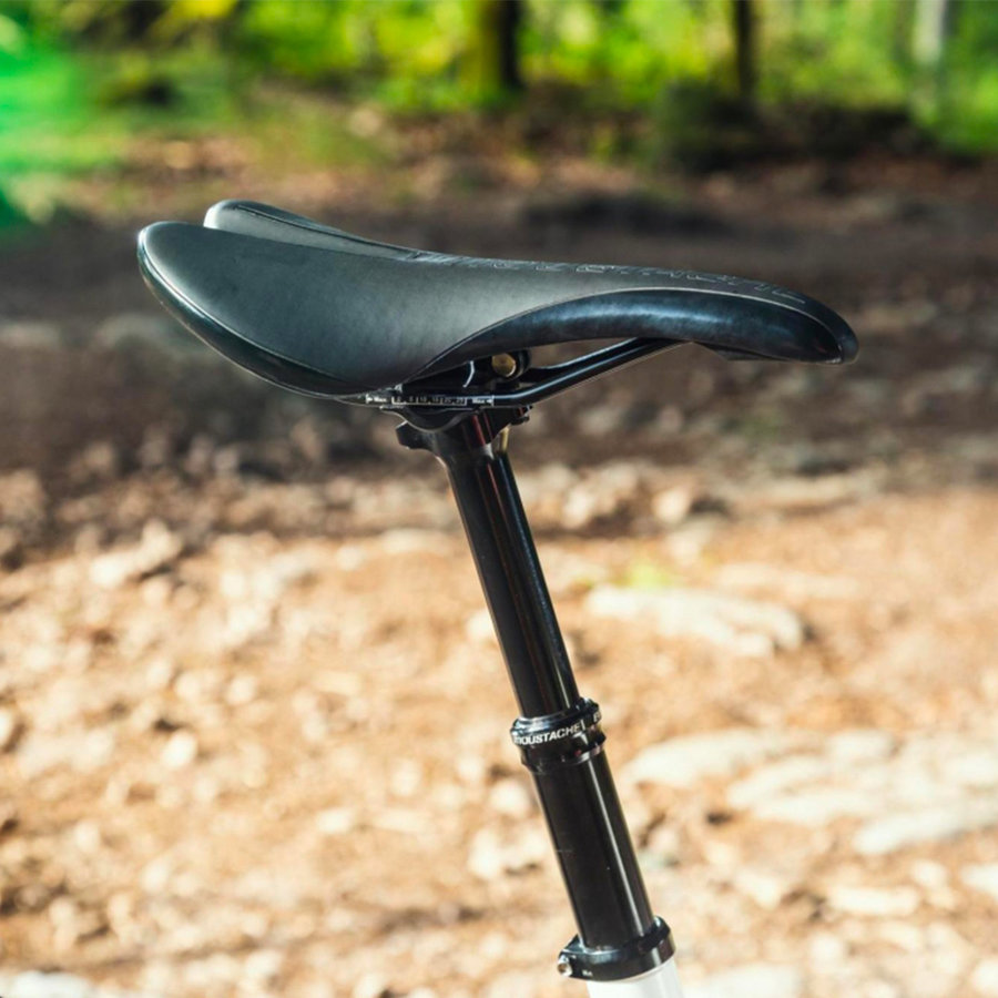 Fiido Titan Vélo cargo électrique tout-terrain à pneus fat