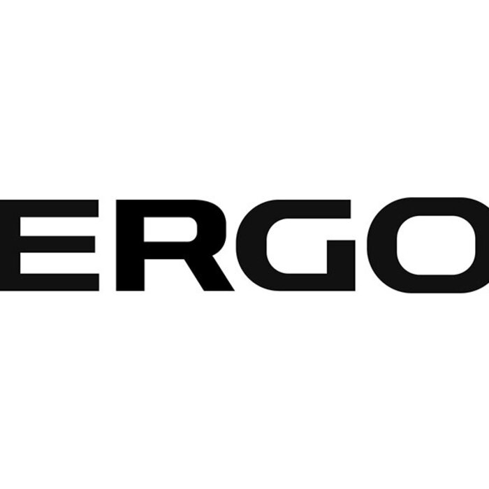 Ergon