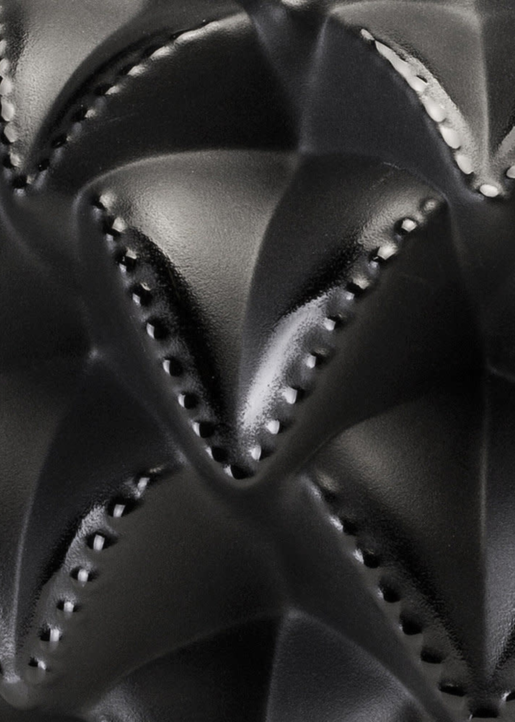 Lalique Black Languedoc Small Vase