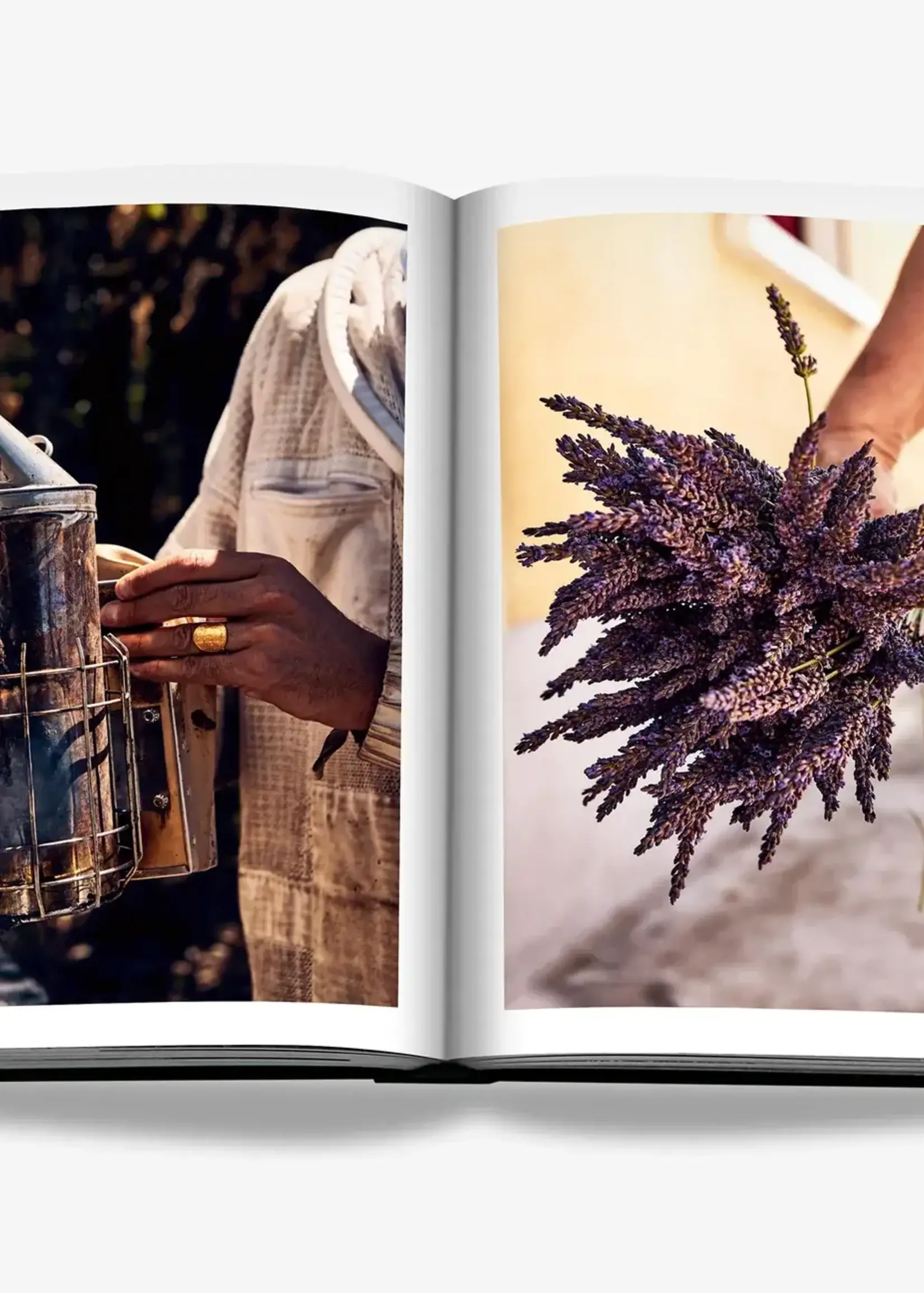 ASSOULINE Louis Vuitton Manufactures