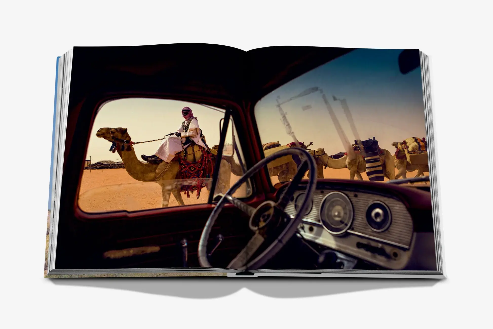 ASSOULINE Camels From Saudi Arabia