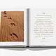 ASSOULINE Camels From Saudi Arabia