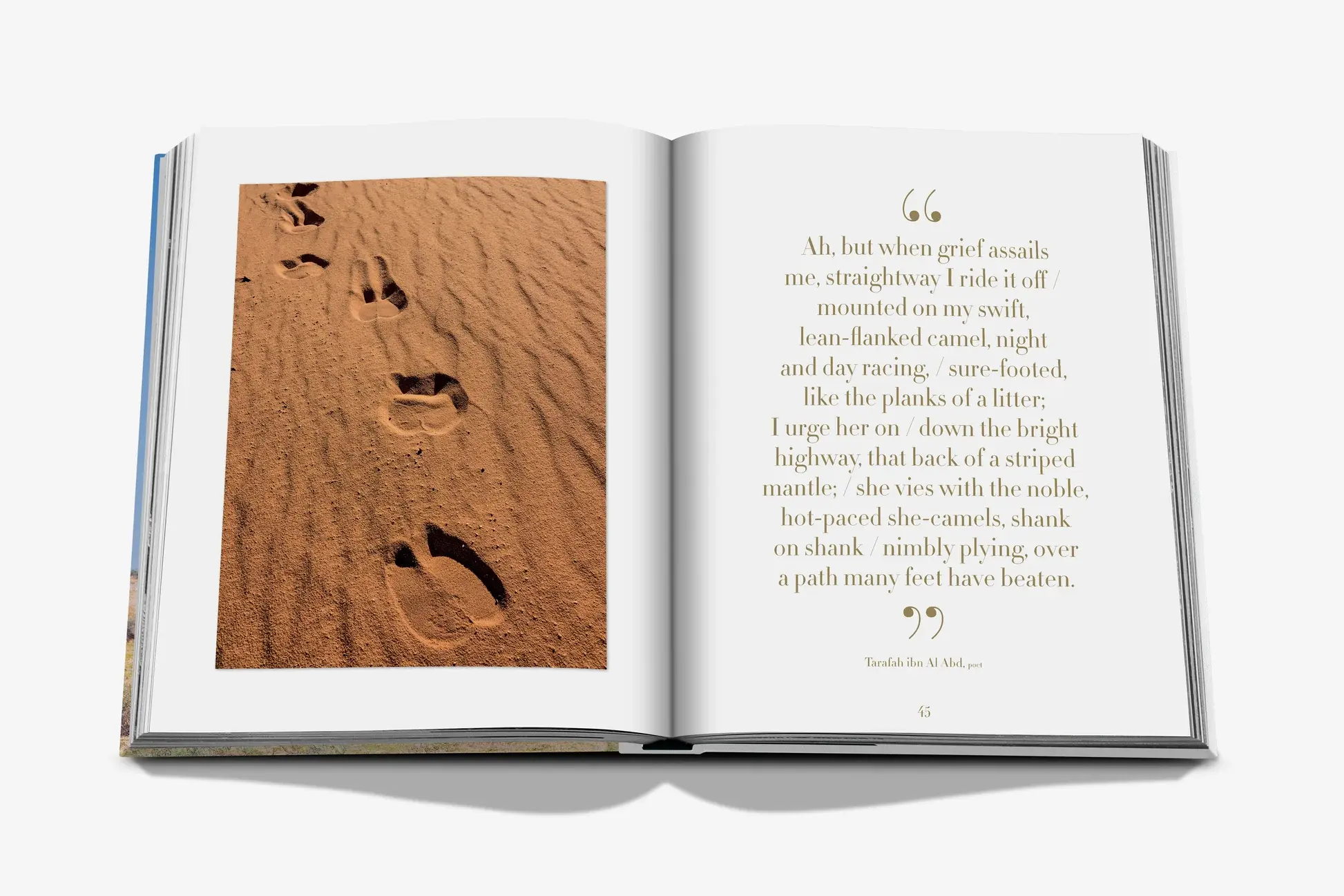 ASSOULINE Camels From Saudi Arabia