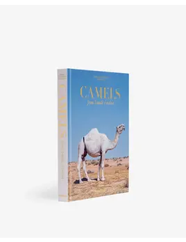 ASSOULINE Camels From Saudi Arabia