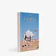 ASSOULINE Camels From Saudi Arabia