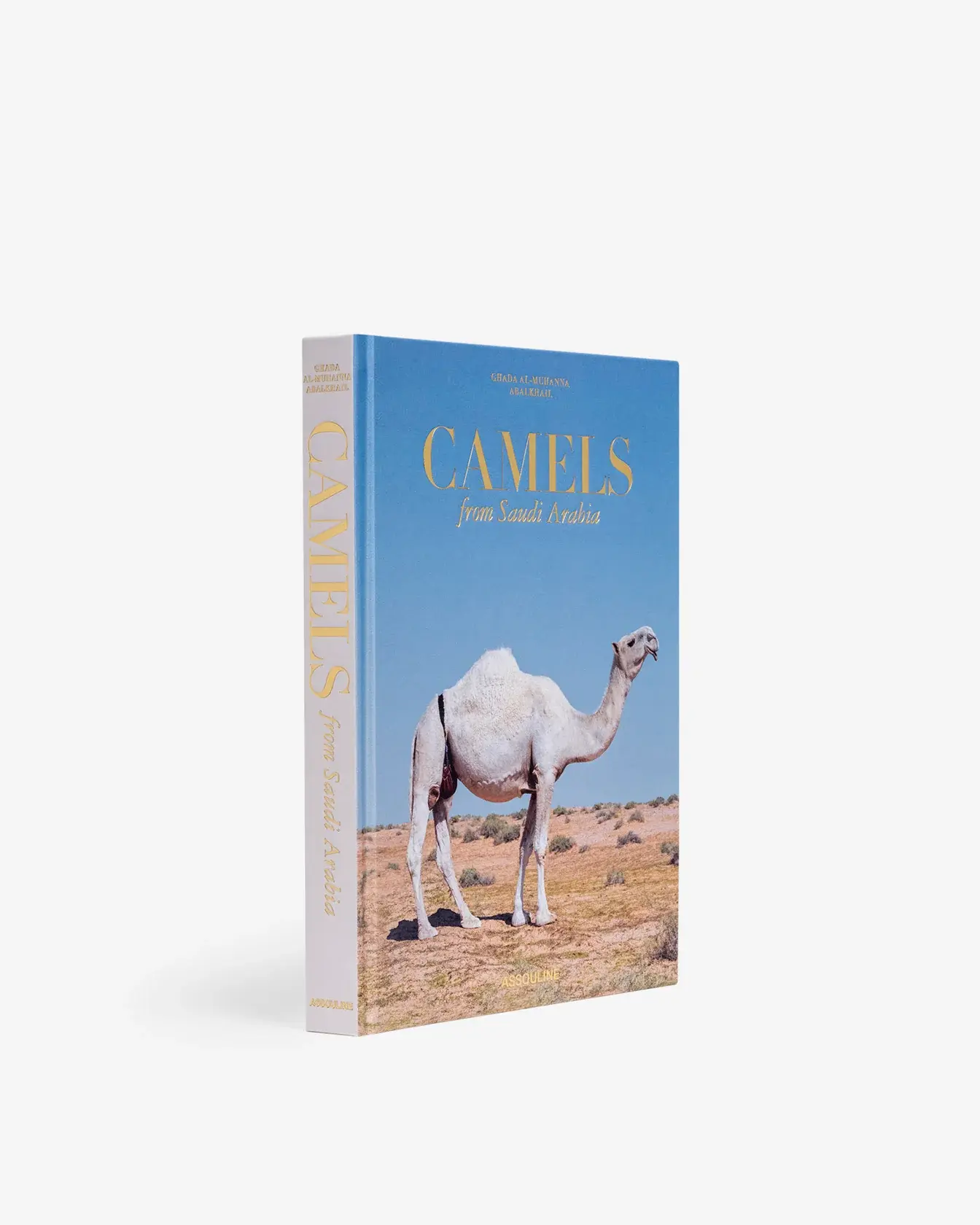 ASSOULINE Camels From Saudi Arabia