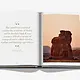 ASSOULINE Camels From Saudi Arabia