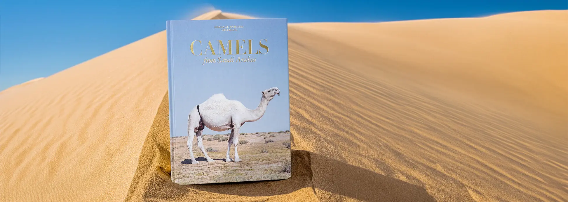ASSOULINE Camels From Saudi Arabia