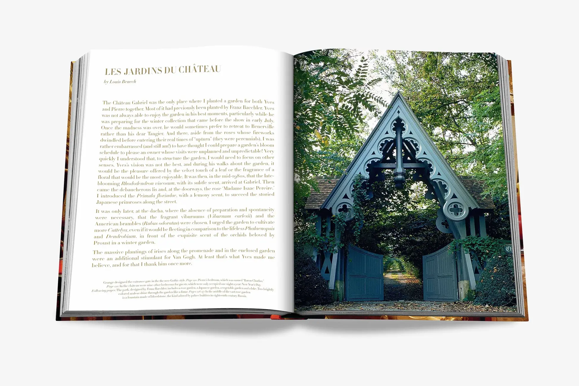 ASSOULINE Yves Saint Laurent at Home