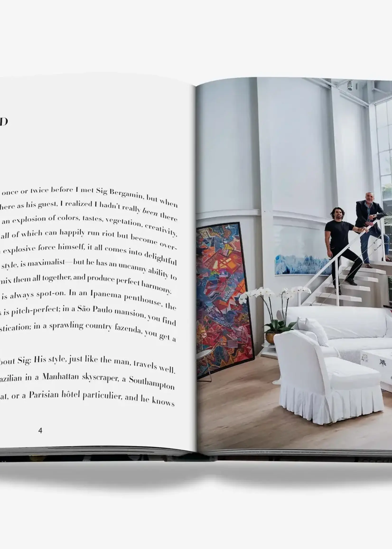 ASSOULINE Maximalism by Sig Bergamin