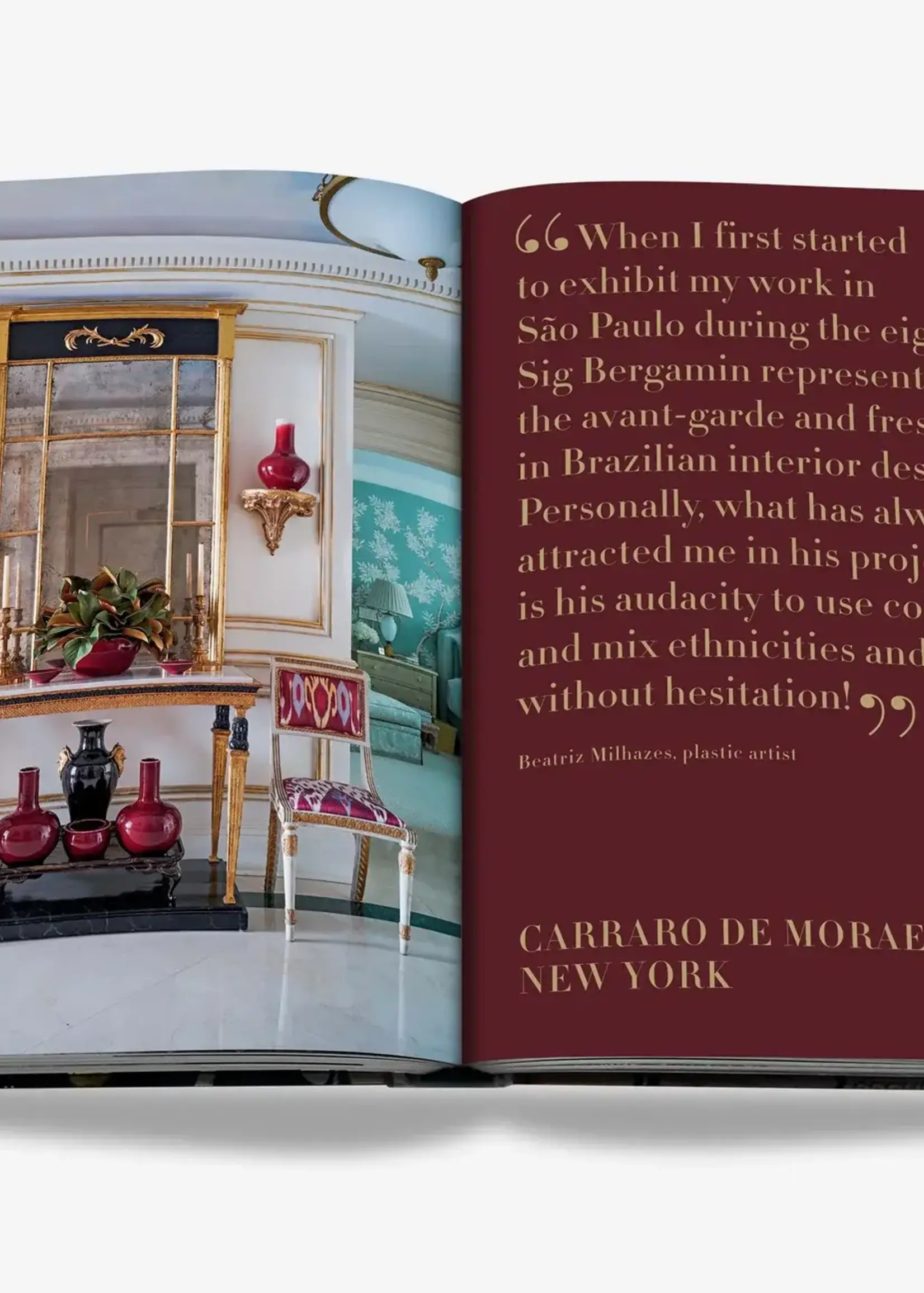 ASSOULINE Maximalism by Sig Bergamin