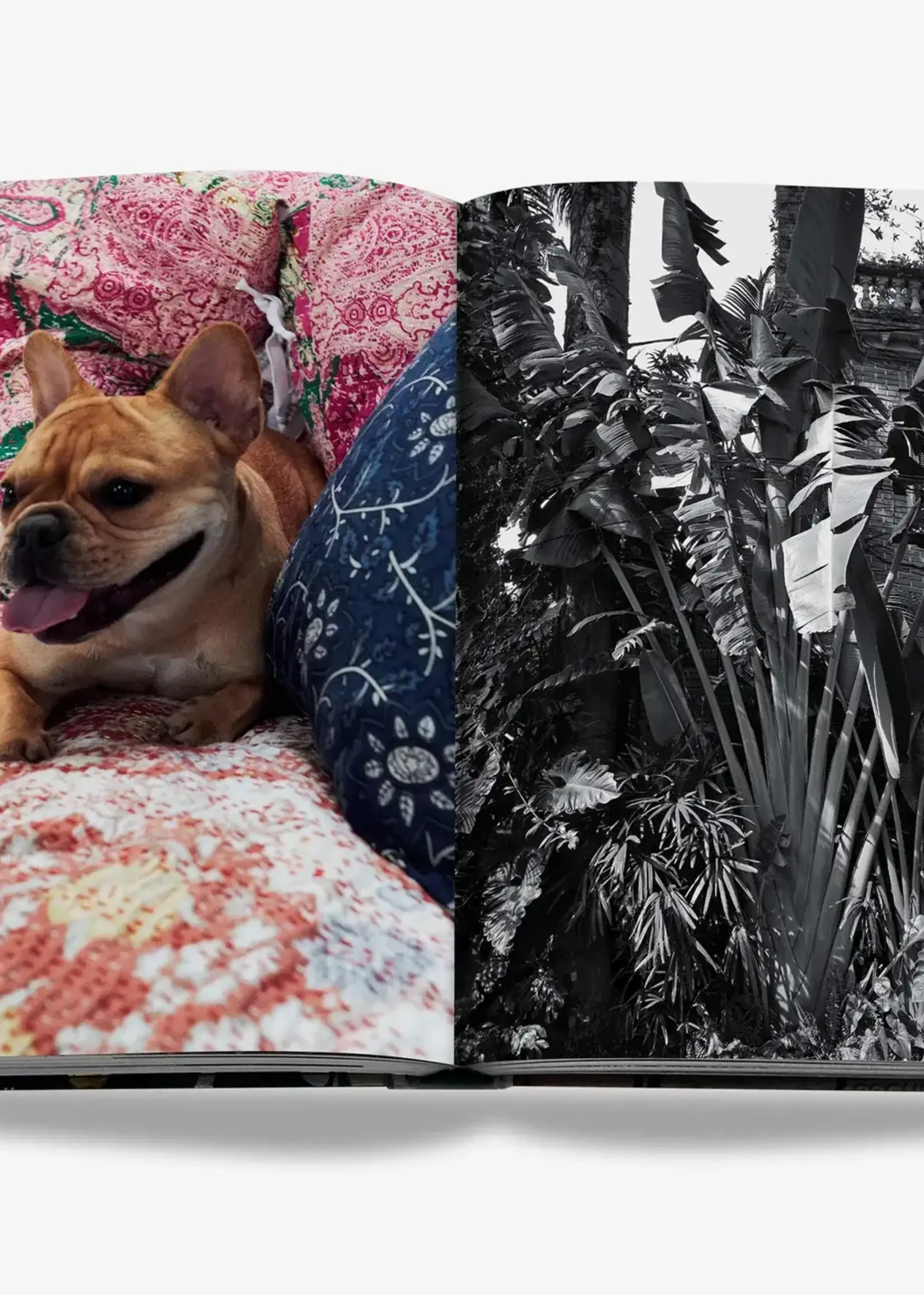 ASSOULINE Maximalism by Sig Bergamin