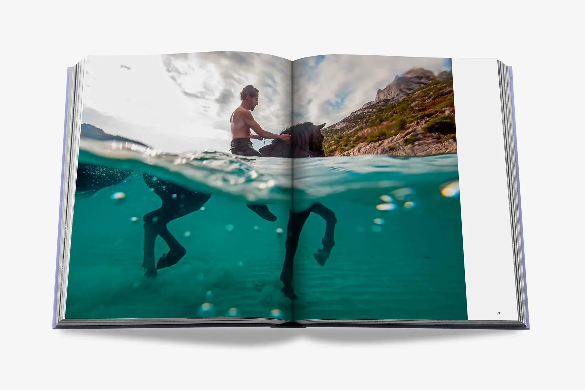 ASSOULINE Provence Glory