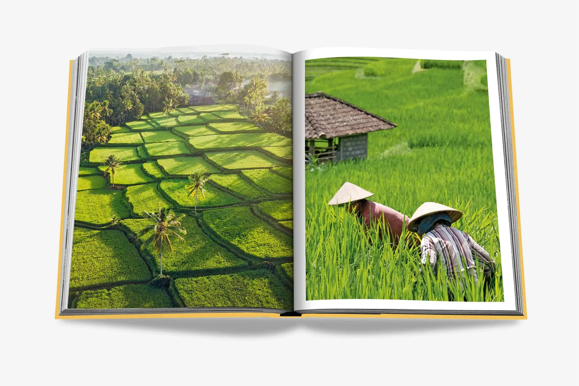 ASSOULINE Bali Mystique
