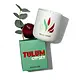 ASSOULINE Tulum Gypset Candle