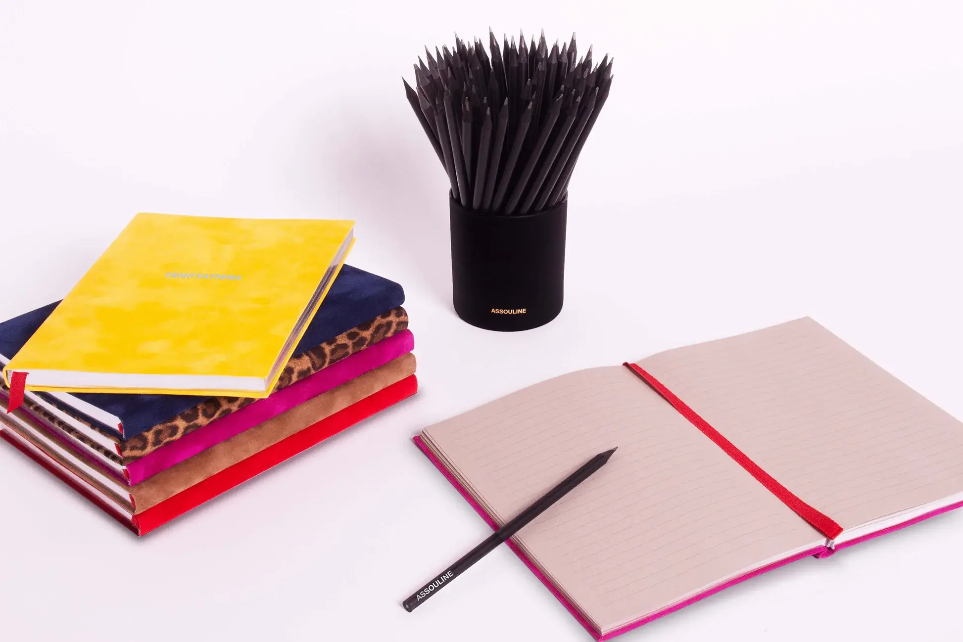 ASSOULINE Wild Thoughts Notebook