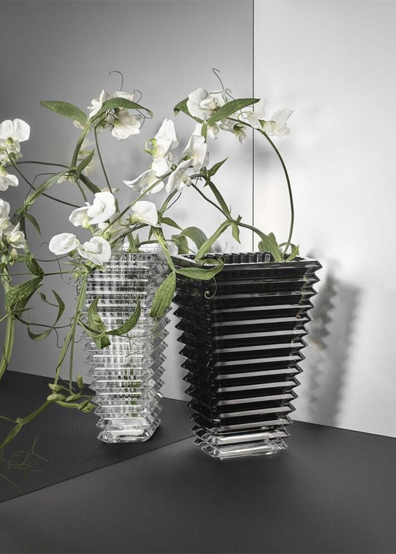 Baccarat Eye Vase Large Rectangular Black