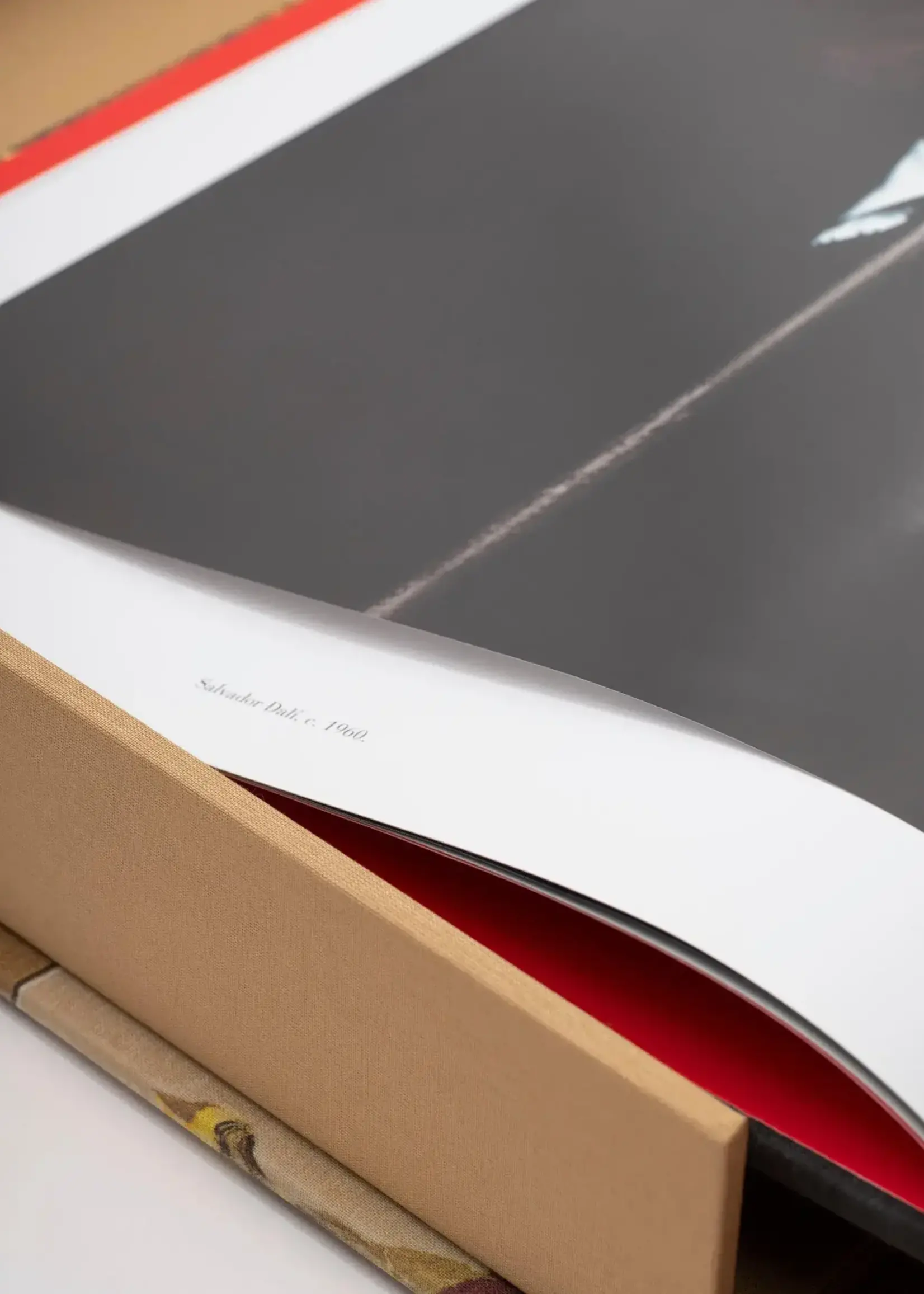 ASSOULINE Salvador Dali -The Impossible Collection