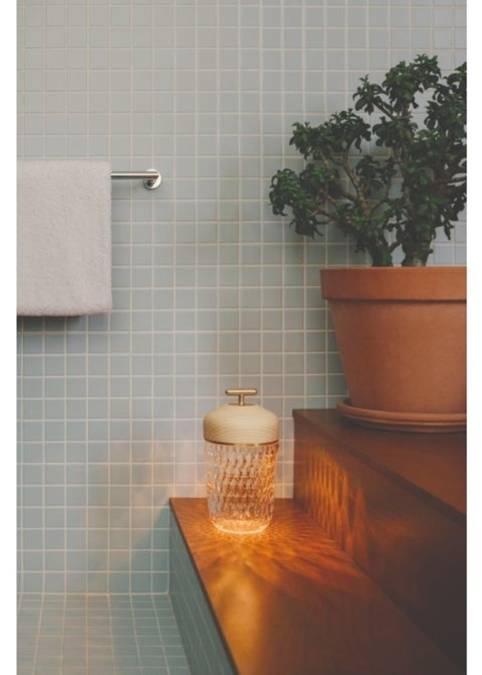 Saint-Louis Folia Natural Portable Lamp