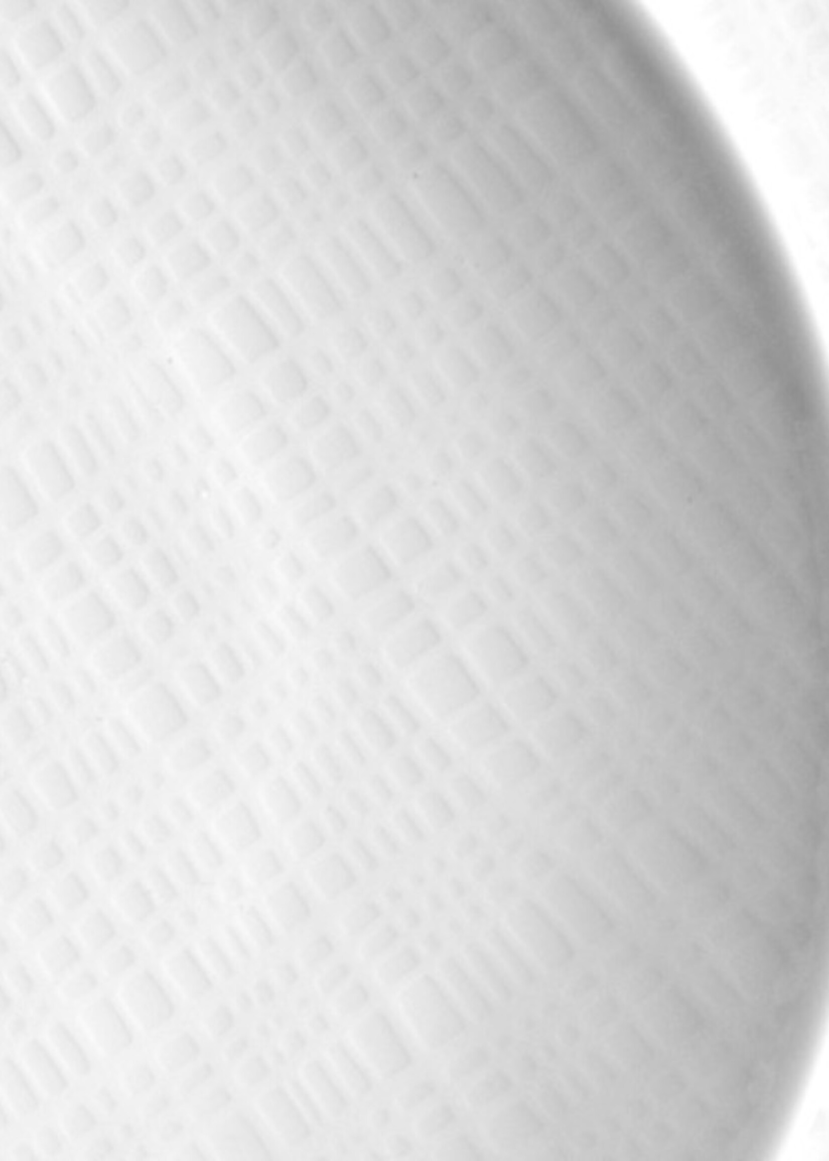 Bernardaud Organza Coupe Service Plate
